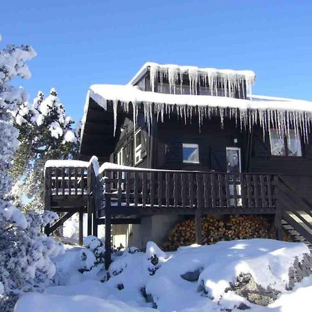 Chalet Des Myrtilles - Chalet Cosy Avec Vue Arette Εξωτερικό φωτογραφία