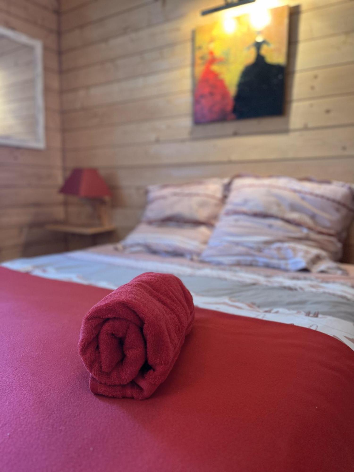Chalet Des Myrtilles - Chalet Cosy Avec Vue Arette Εξωτερικό φωτογραφία