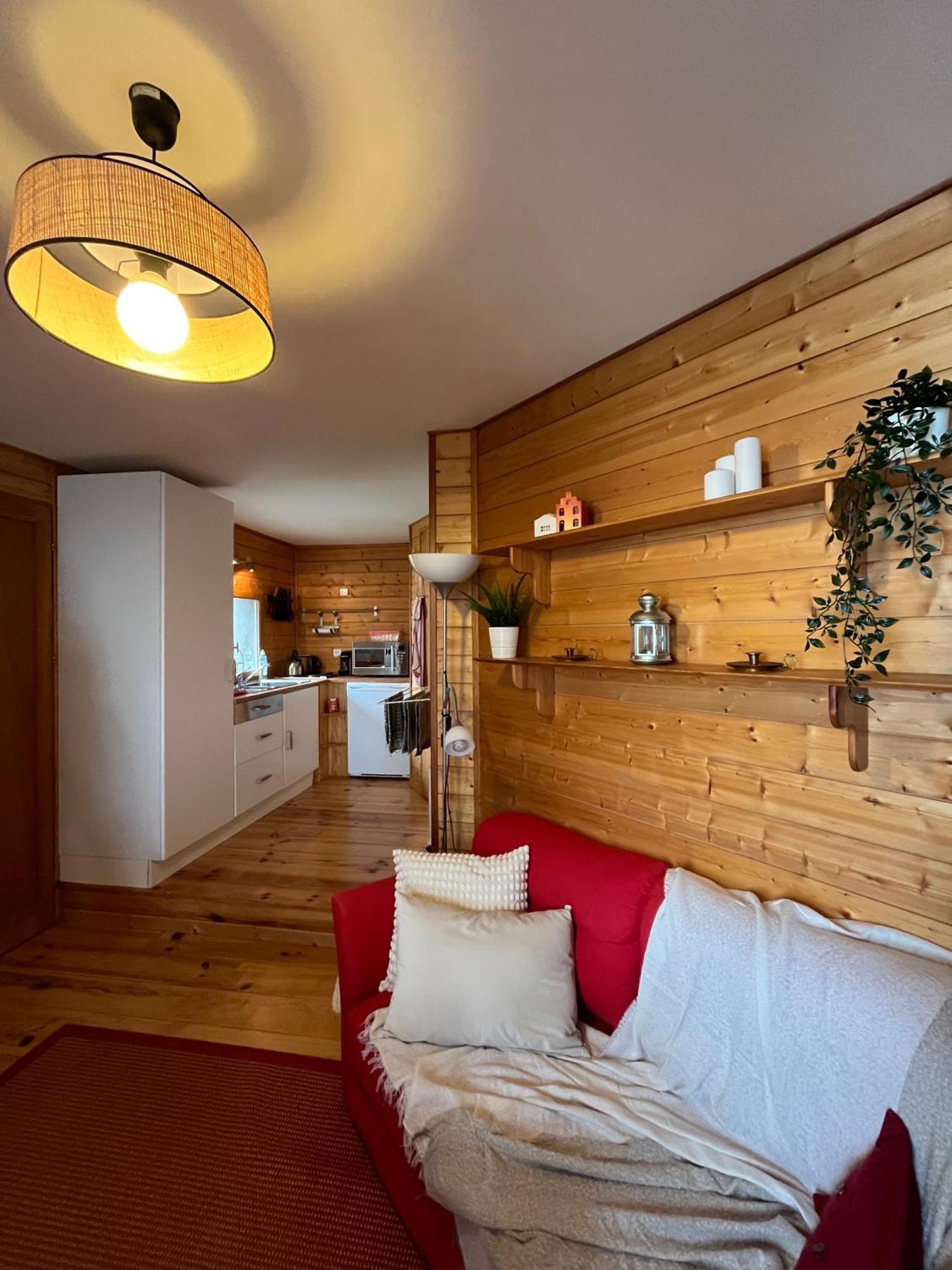 Chalet Des Myrtilles - Chalet Cosy Avec Vue Arette Εξωτερικό φωτογραφία