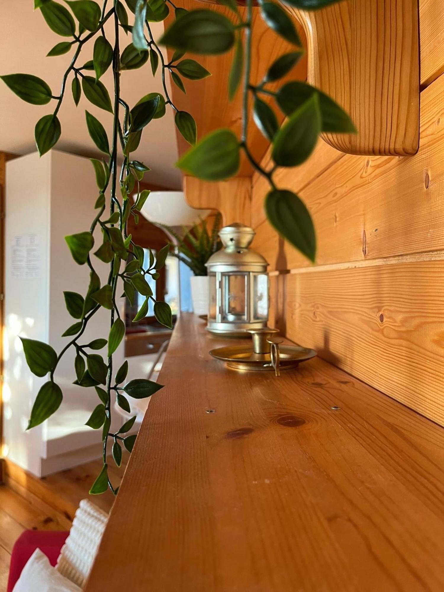 Chalet Des Myrtilles - Chalet Cosy Avec Vue Arette Εξωτερικό φωτογραφία