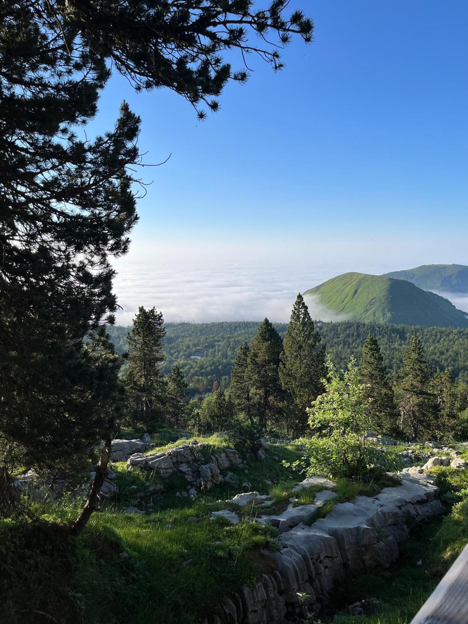 Chalet Des Myrtilles - Chalet Cosy Avec Vue Arette Εξωτερικό φωτογραφία